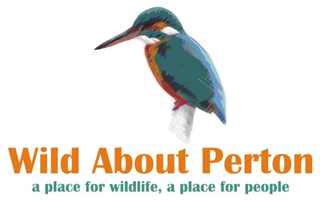 Wild About Perton